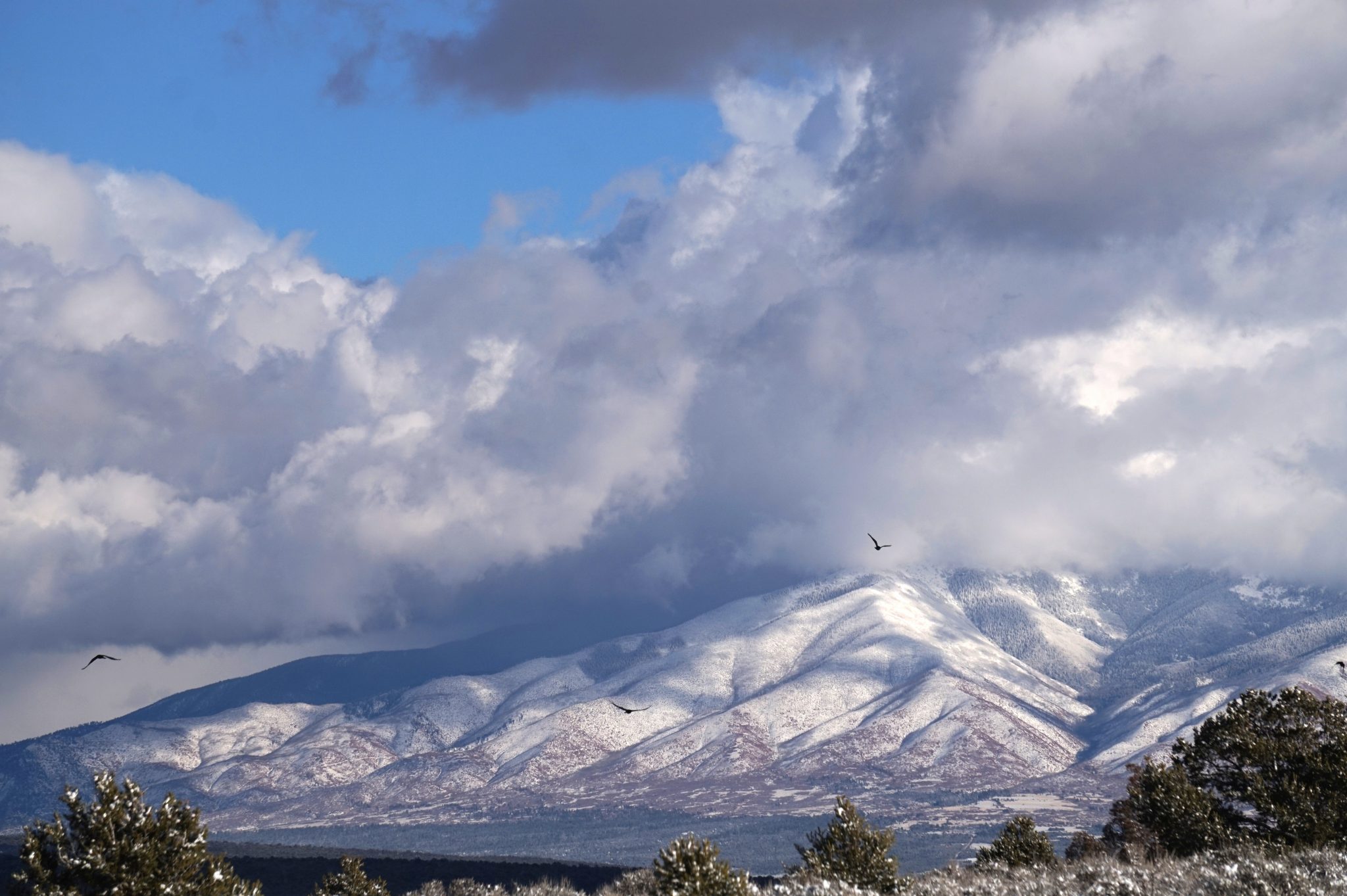 Tres Piedras, New Mexico Wilderness Vagabonds